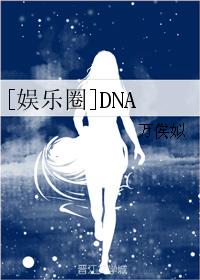[娱乐圈]DNA小说封面