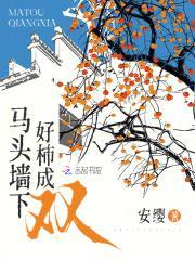 马头墙下好柿成双